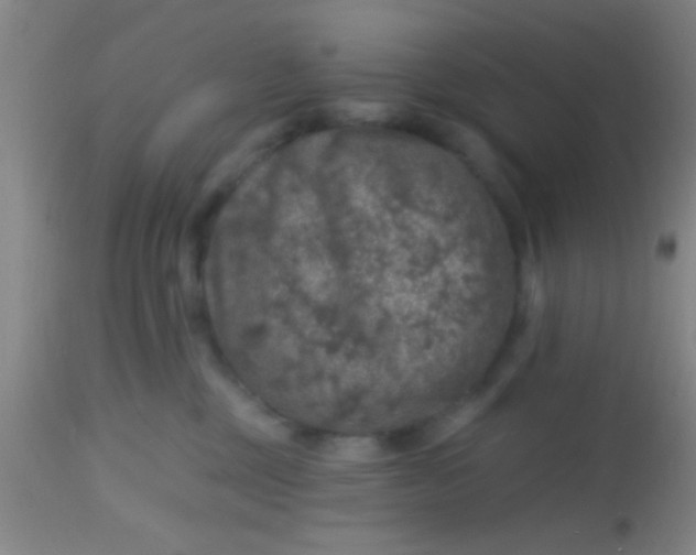 X0000113860377200910151242