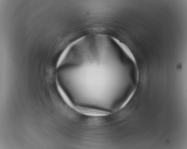 X0000113860378200910151242