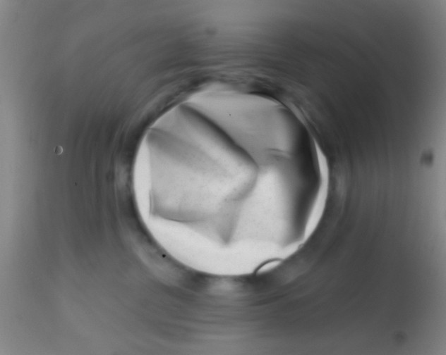 X0000113860380200910151242
