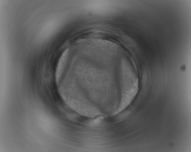 X0000113860382200910151242