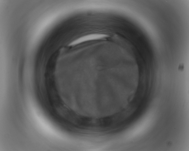 X0000113860383200910151242