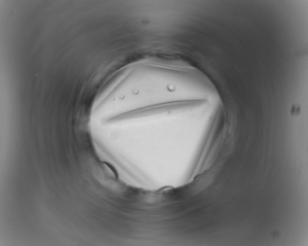 X0000113860384200910151242