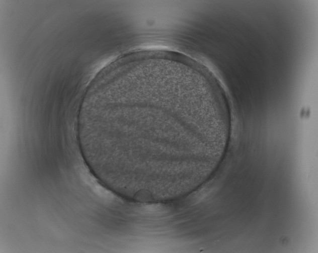 X0000113860385200910151241