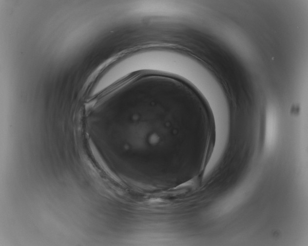 X0000113860387200910151241