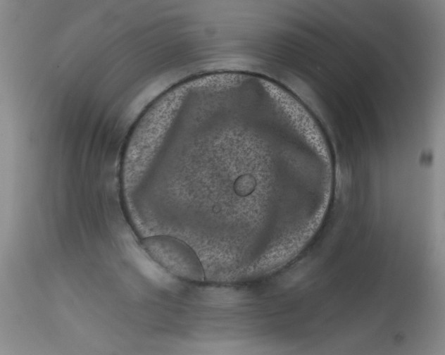 X0000113860389200910151241