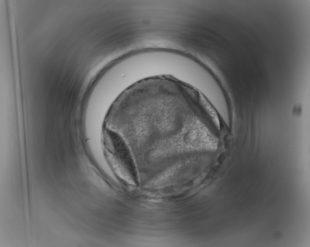 X0000113860391200910151241