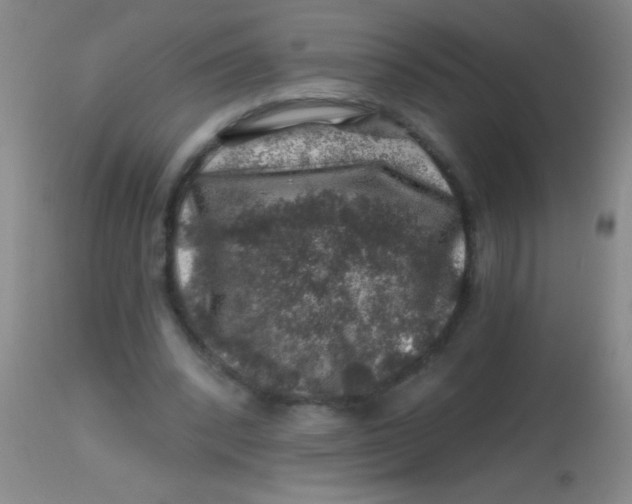 X0000113860392200910151241