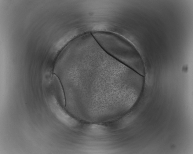 X0000113860393200910151241
