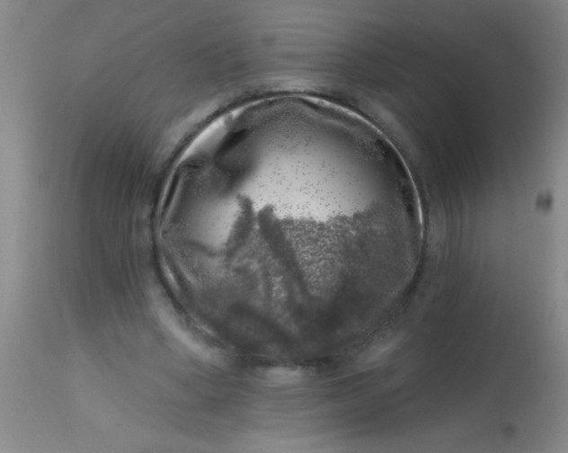 X0000113860394200910151241