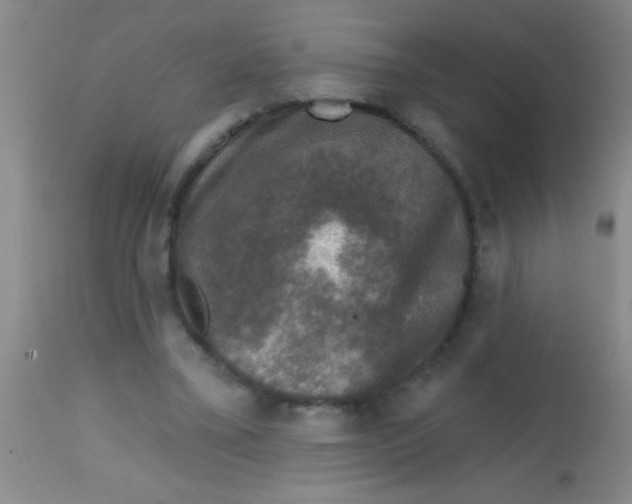 X0000113860395200910151241