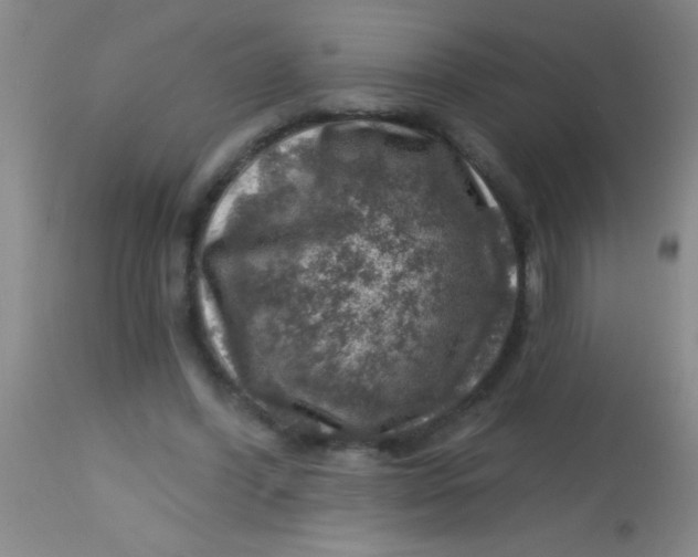 X0000113860396200910151241