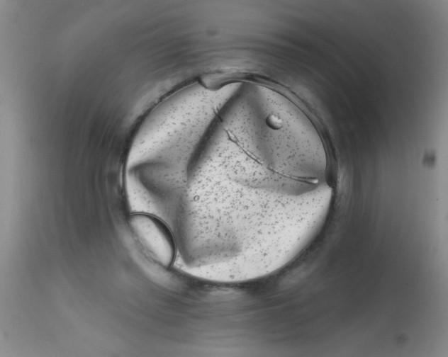 X0000113860397200910151241