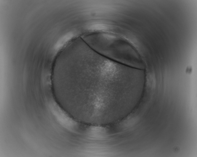 X0000113860399200910151241