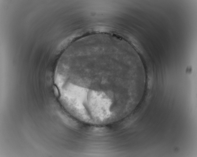 X0000113860401200910151241