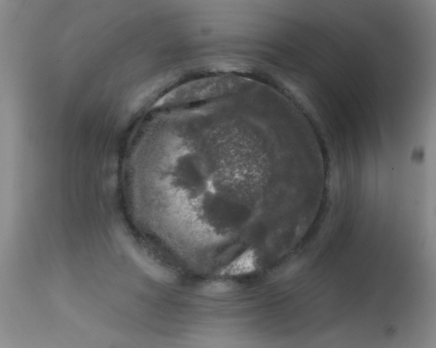 X0000113860402200910151241