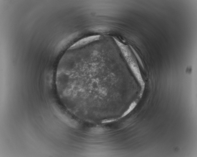 X0000113860404200910151241