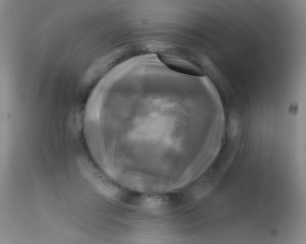 X0000113860405200910151241