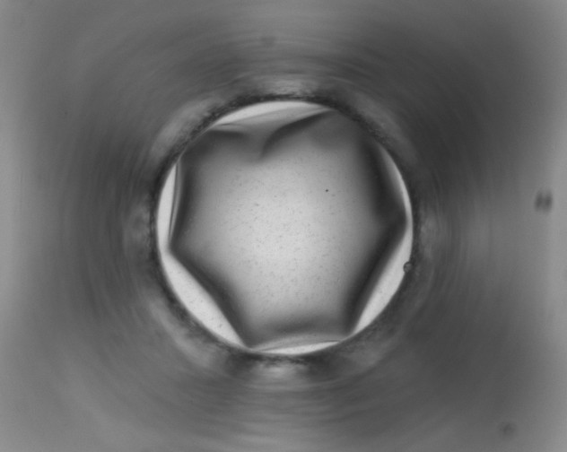 X0000113860407200910151241
