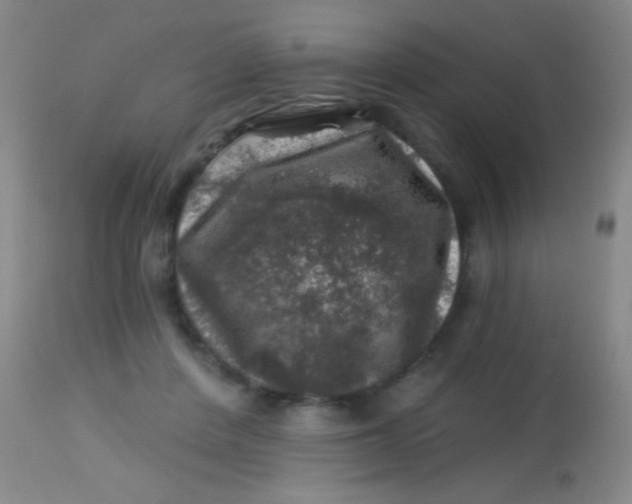 X0000113860408200910151241