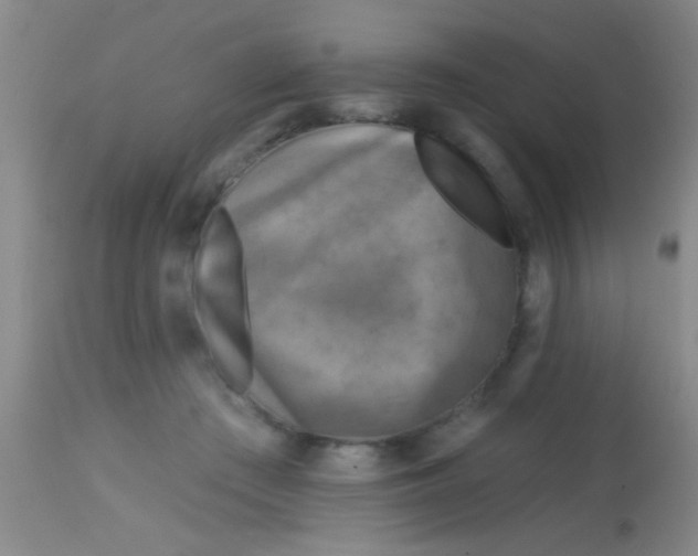 X0000113860409200910151241