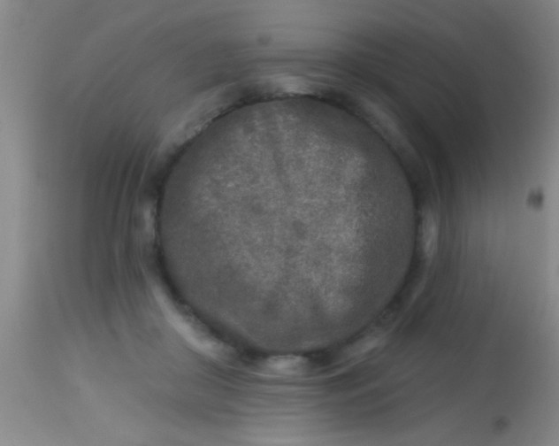 X0000113860410200910151241