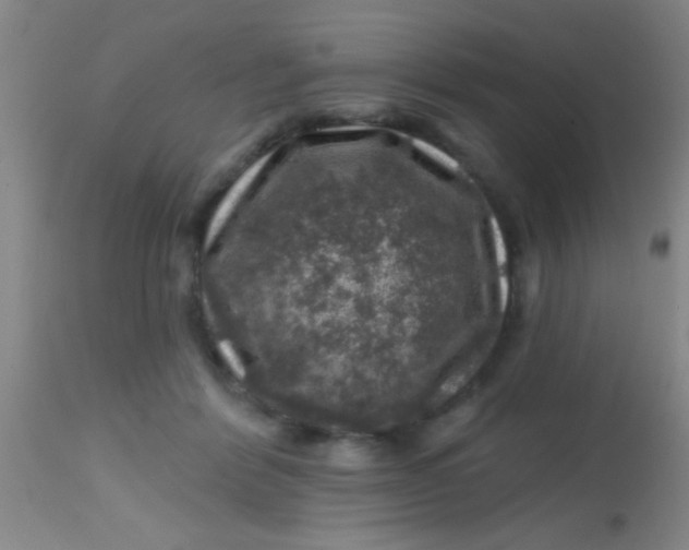 X0000113860412200910151241