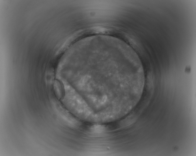 X0000113860413200910151241