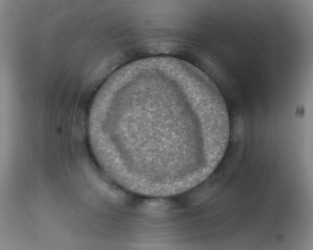 X0000113860414200910151241