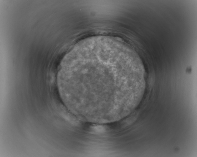 X0000113860417200910151241