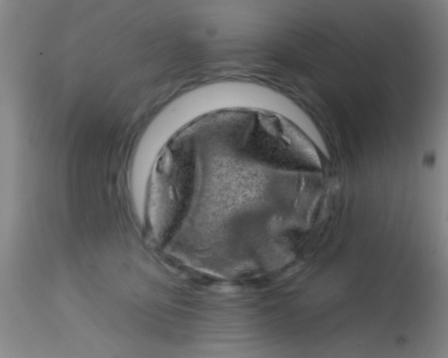 X0000113860419200910151241