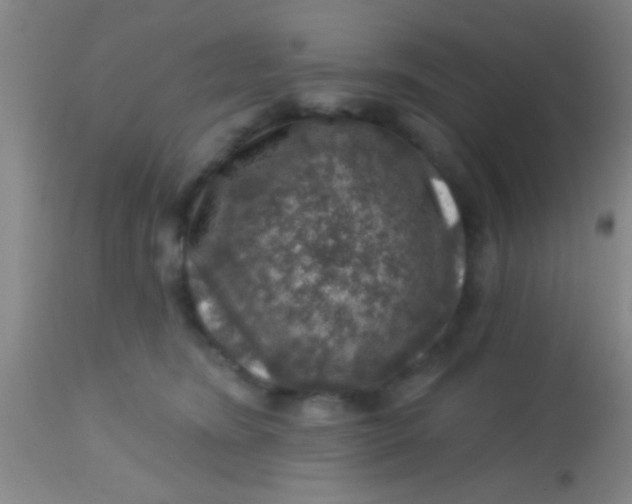 X0000113860420200910151241