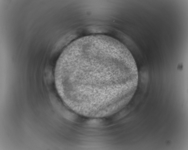X0000113860422200910151241