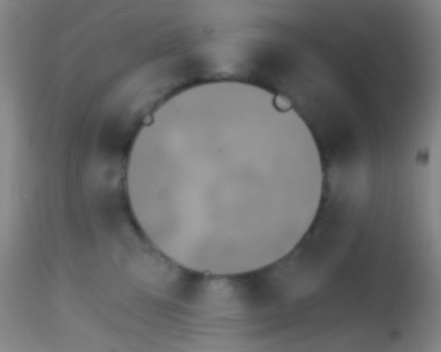 X0000113860423200910151241