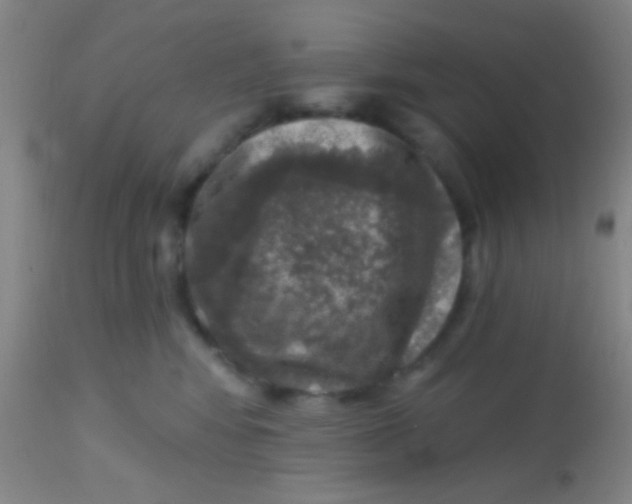 X0000113860424200910151241