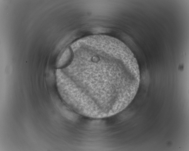 X0000113860426200910151241