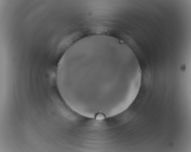 X0000113860427200910151241