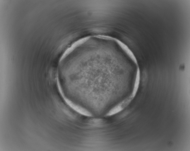X0000113860428200910151241