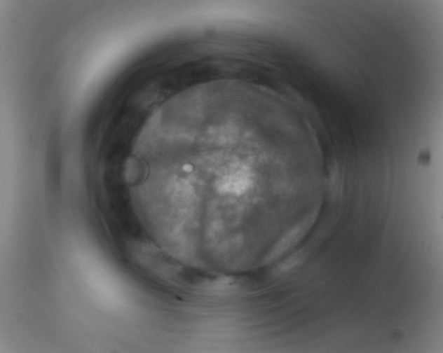 X0000113860430200910151240
