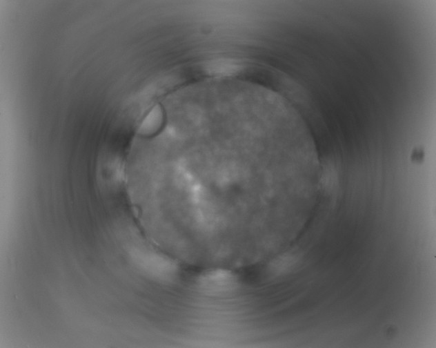 X0000113860431200910151240