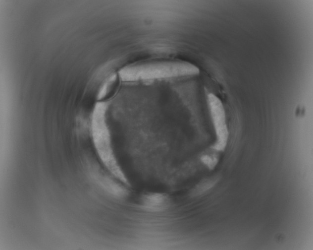 X0000113860432200910151240