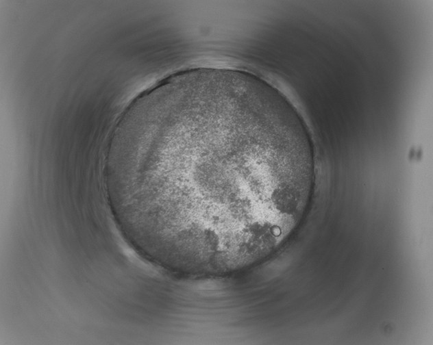 X0000113860433200910151240