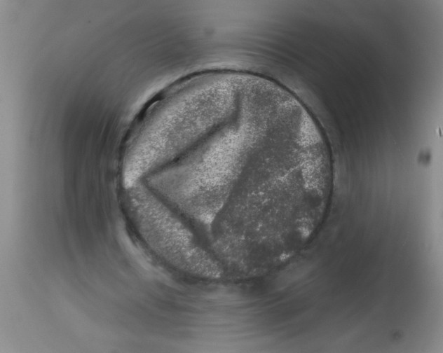 X0000113860434200910151240