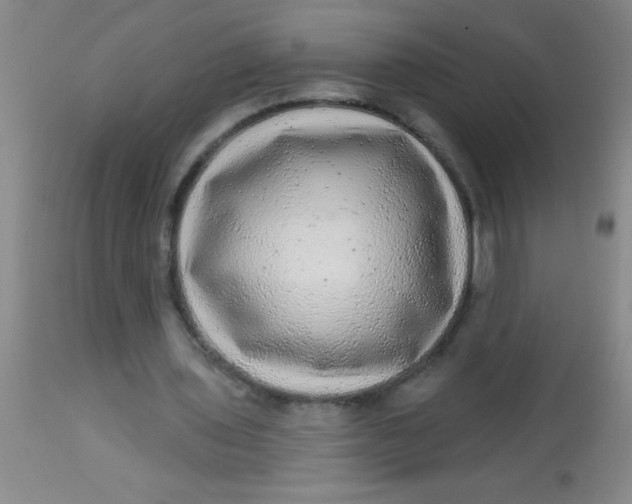 X0000113860435200910151240