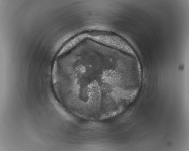 X0000113860437200910151240