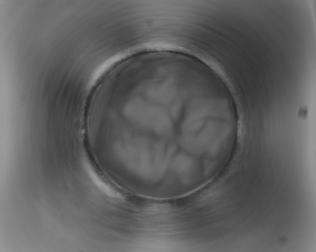 X0000113860438200910151240