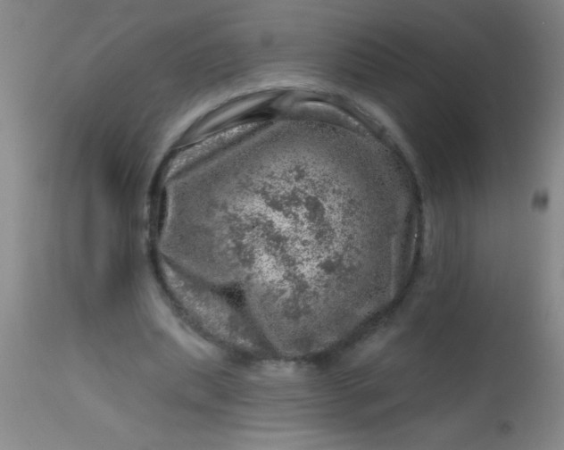X0000113860439200910151240