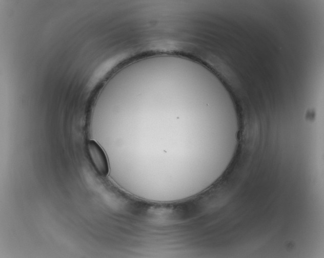 X0000113860440200910151240