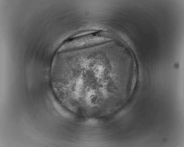 X0000113860441200910151240