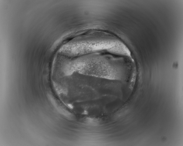 X0000113860442200910151240