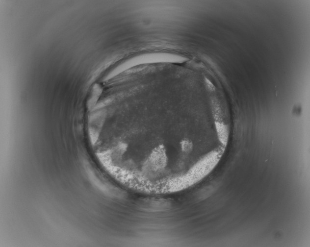 X0000113860443200910151240
